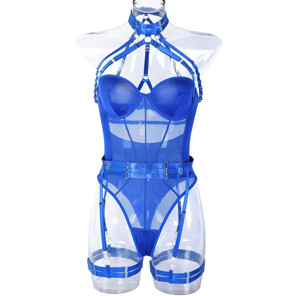 Allure Fusion Mesh Bodysuit Ensemble