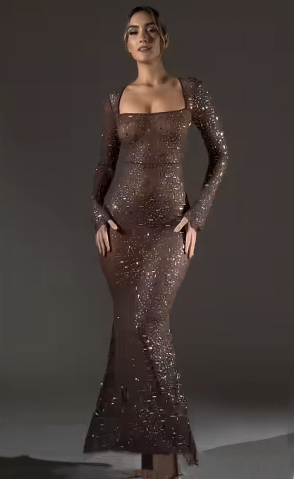 Luxe Sheer Long Sleeve Evening Gown