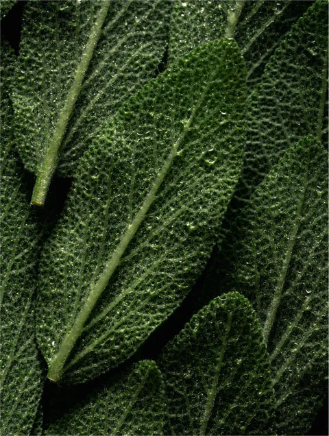 BioBalance Prebiotic Face Mist Serum